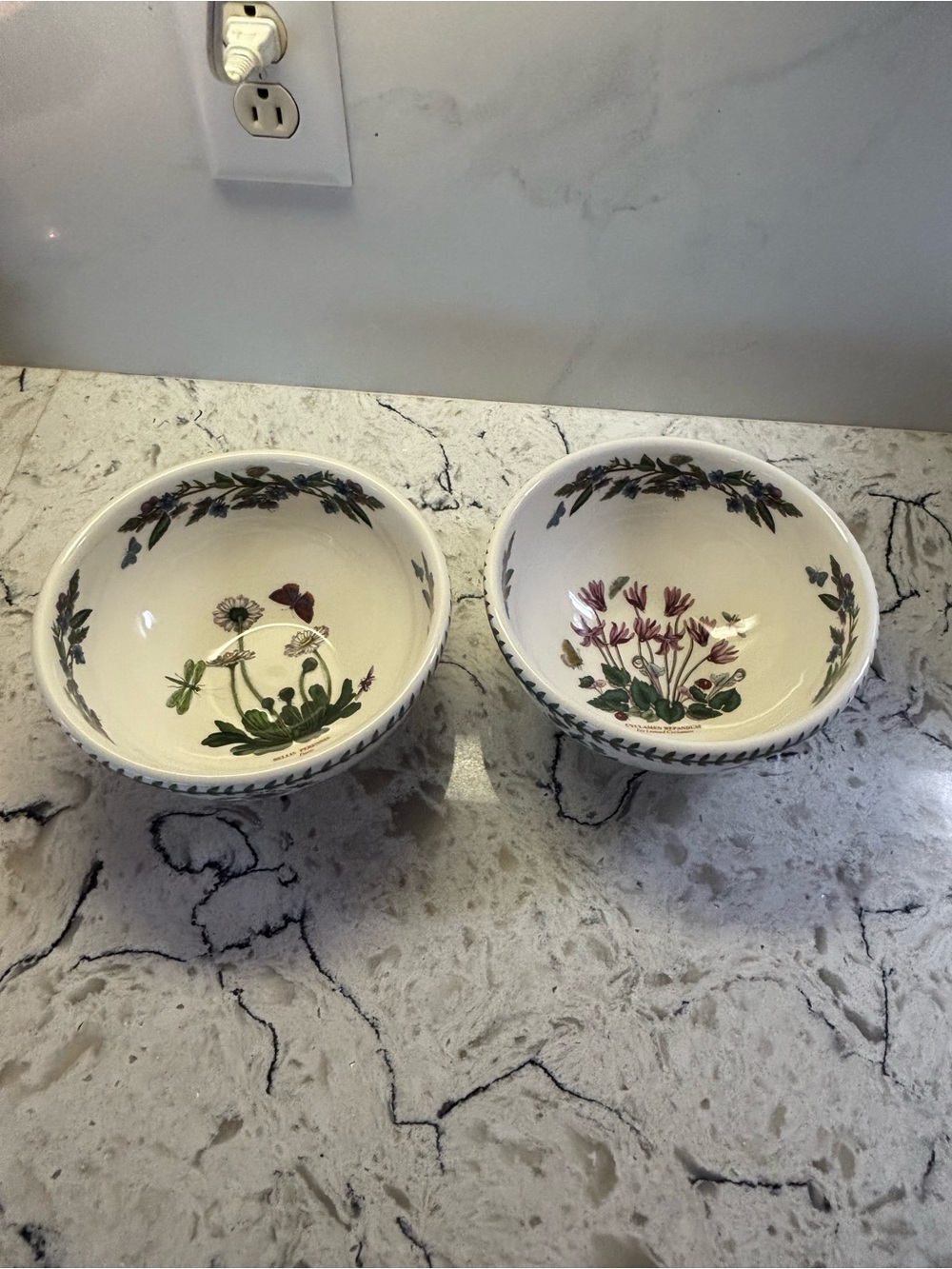 Pair Portmeirion Botanical Garden Bowls